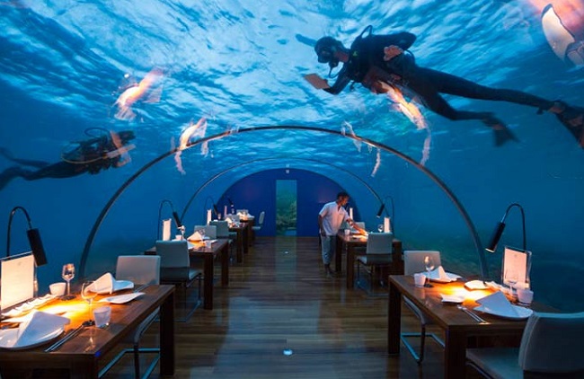 Places To Eat Near Me What To Eat Near Me Find The Best Places To Eat Places To Eat Near Me What To Eat Near Me Find The Best Places To Eat